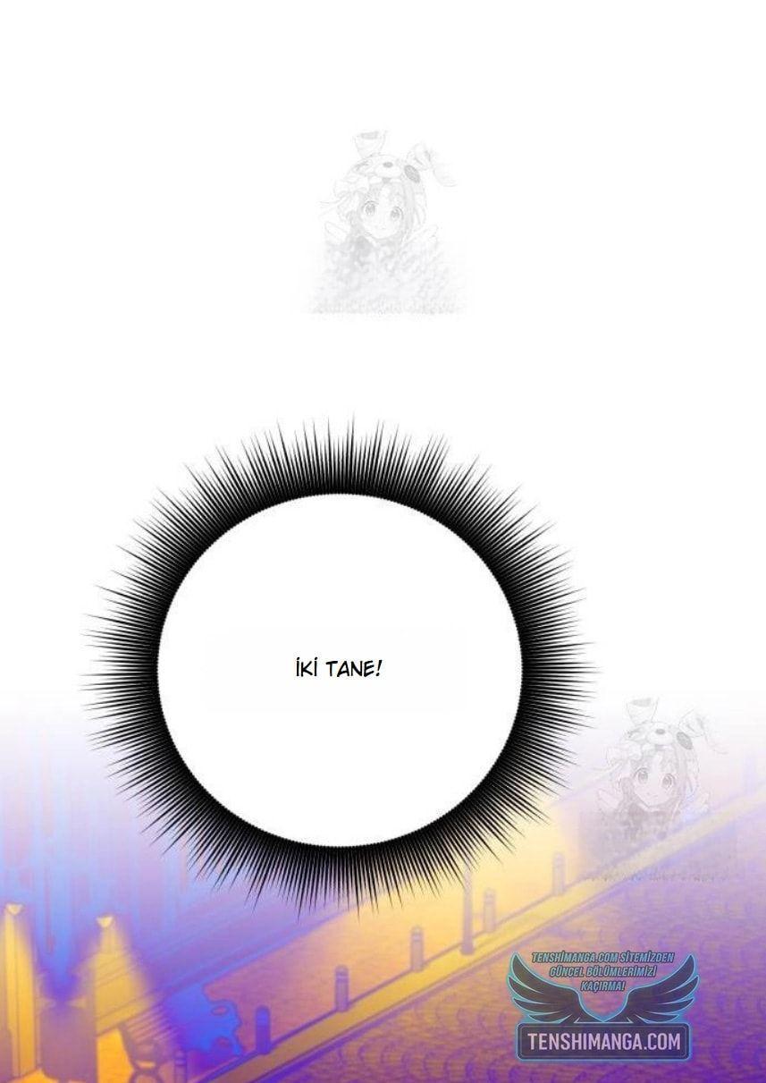 12-cmnq2268807i4ucwa0pciz3a1