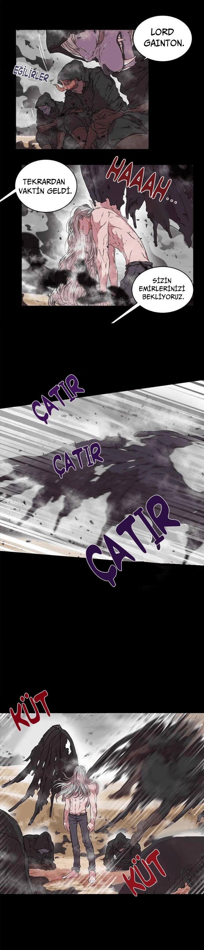 3-cmc1vvo430025phxcd4xhnki2