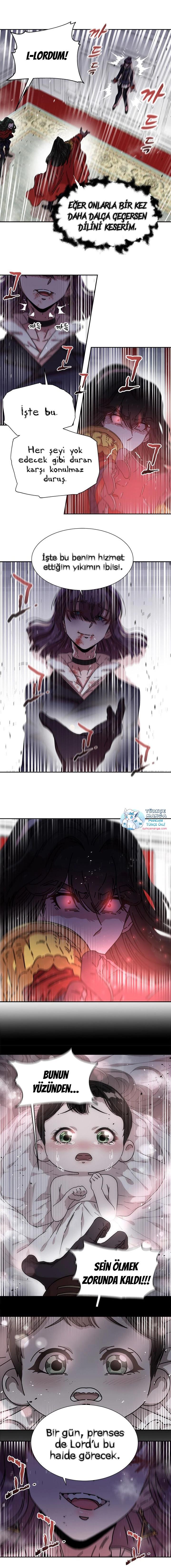 5-cmc1vvo430025phxcd4xhnki2
