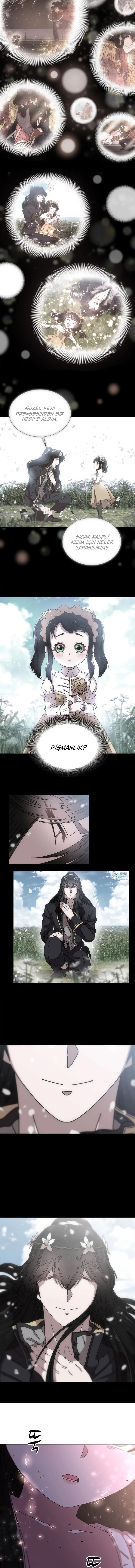 8-cmc1vvo430025phxcd4xhnki2