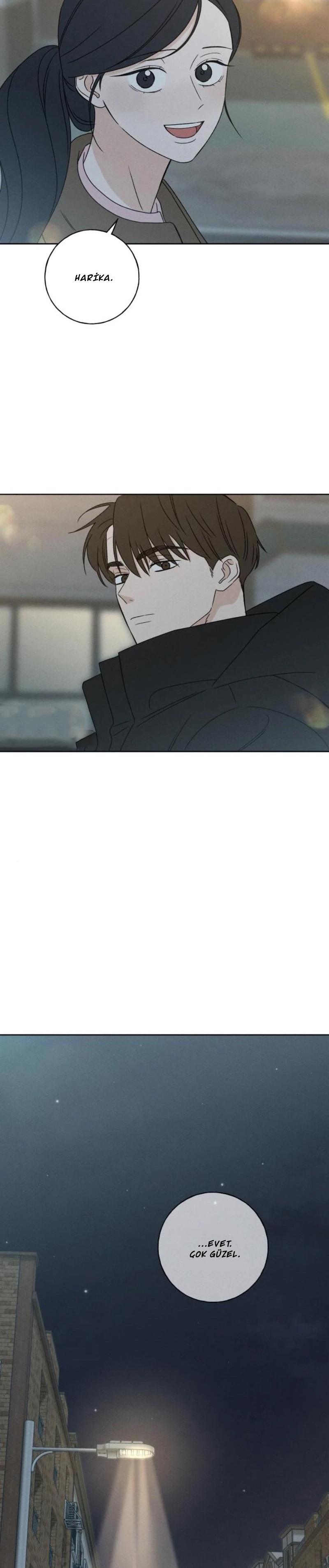 22-cm2xdfr0s0001tt82570od8ls