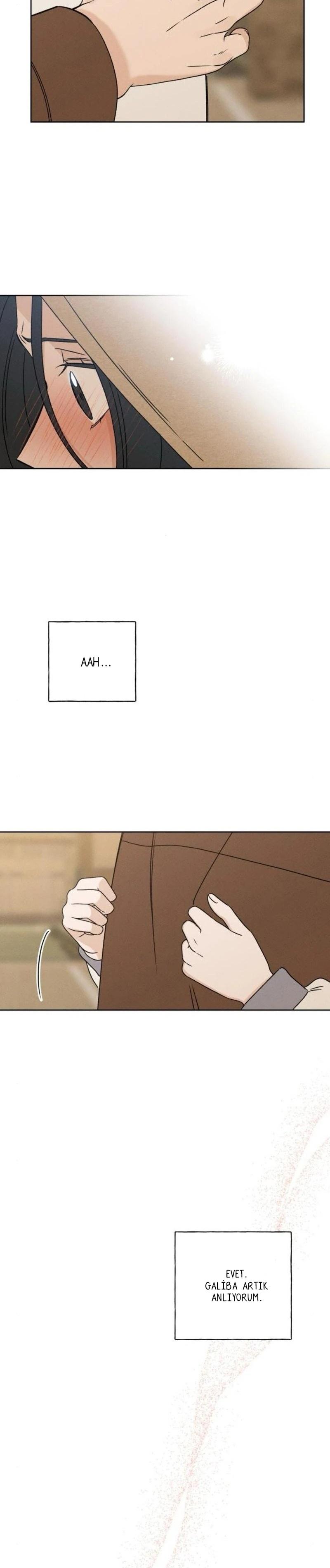 30-cm2xdfr0s0001tt82570od8ls