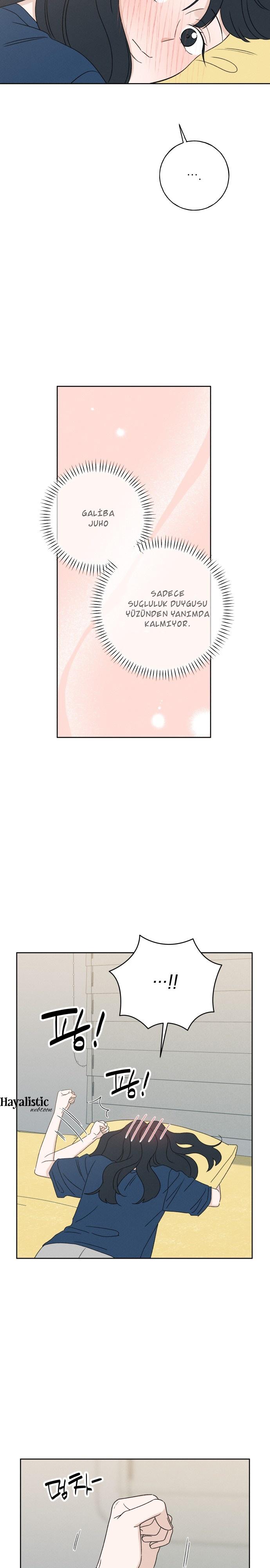 12-cmc1vvo430025phxcd4xhnki2