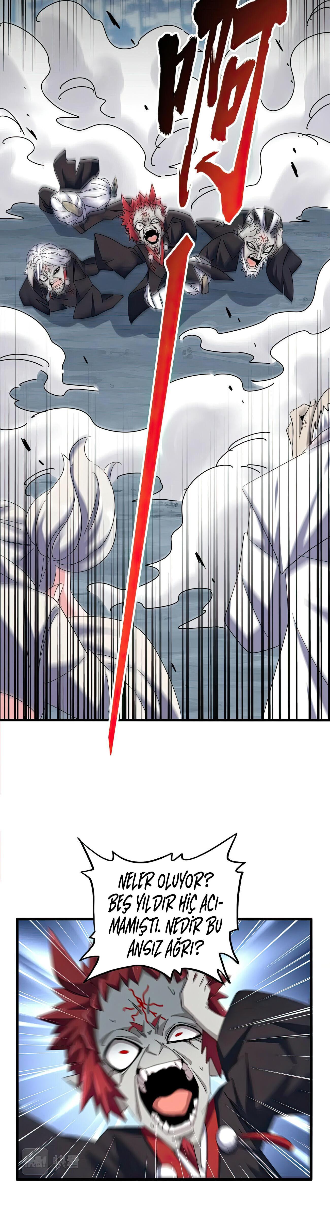 12-cm2xdfr0s0001tt82570od8ls