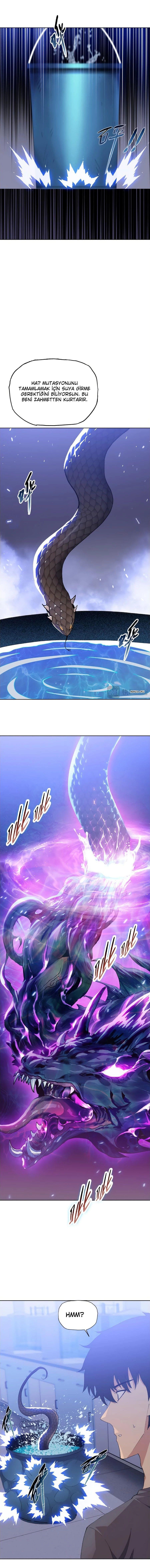 8-cmnq2268807i4ucwa0pciz3a1