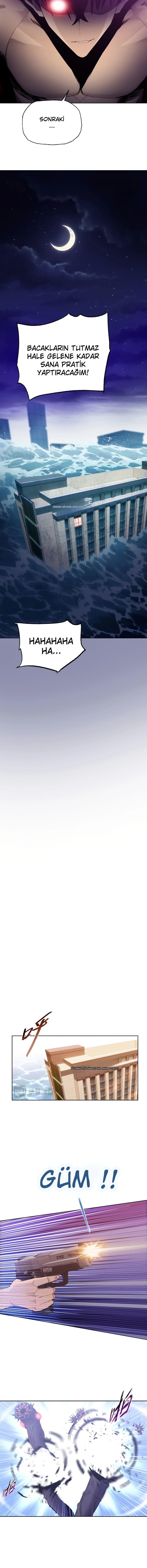 13-cmnq2268807i4ucwa0pciz3a1