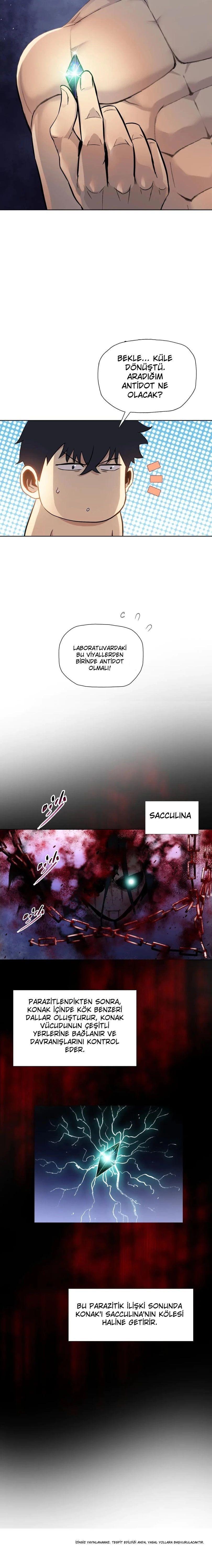 11-cmnq2268807i4ucwa0pciz3a1