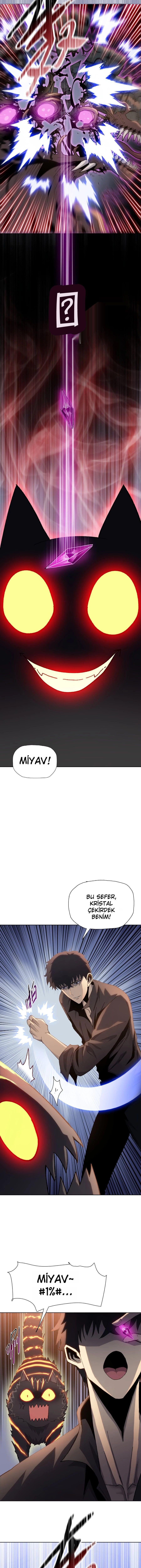 6-cmnq2268807i4ucwa0pciz3a1