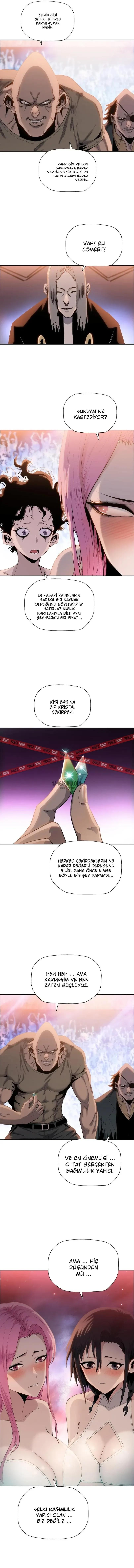 5-cmnq2268807i4ucwa0pciz3a1