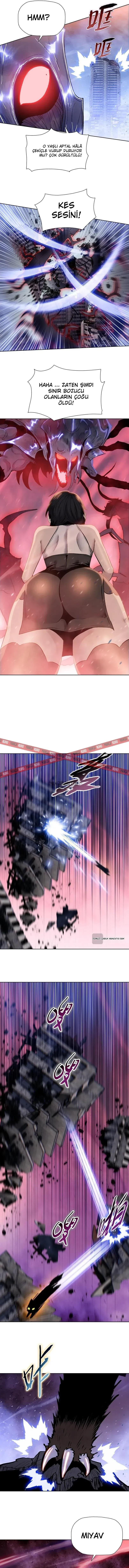 7-cmnq2268807i4ucwa0pciz3a1