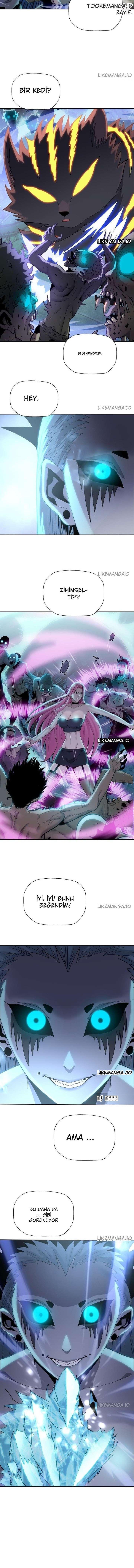 8-cmnq2268807i4ucwa0pciz3a1