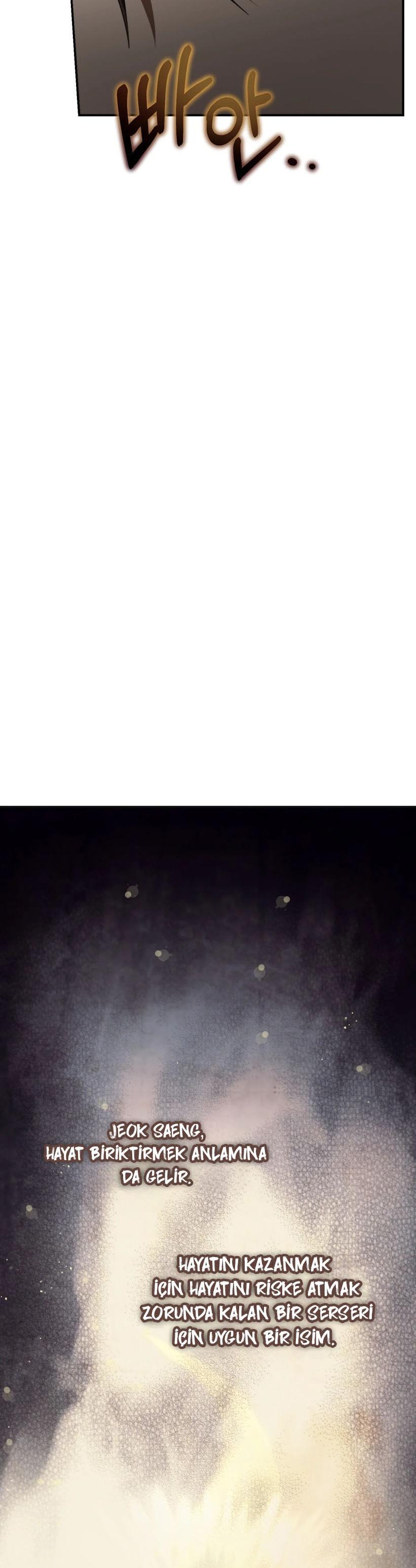 42-cmc1vvo430025phxcd4xhnki2