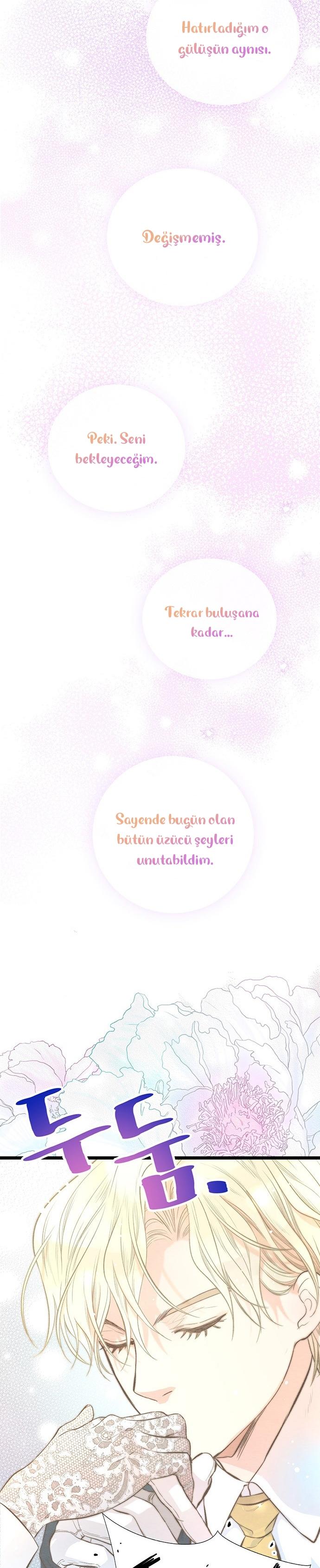 24-cm2xdfr0s0001tt82570od8ls