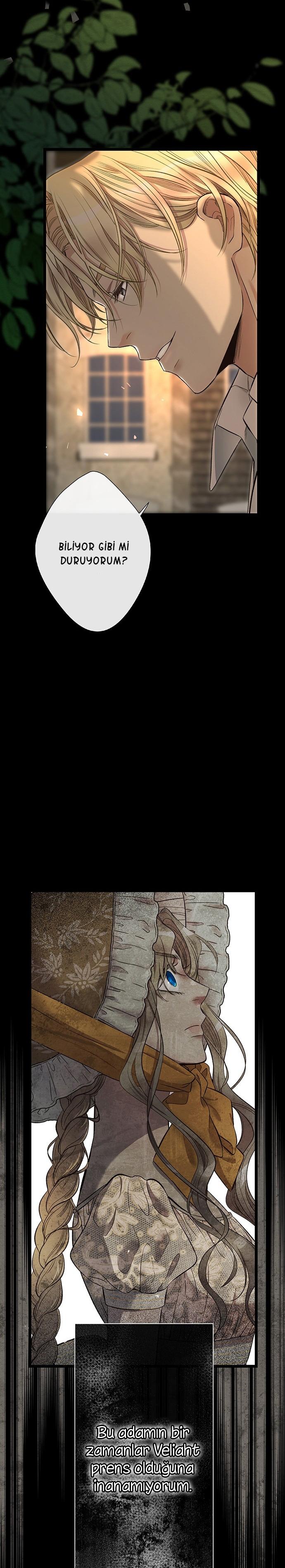 19-cm2xdfr0s0001tt82570od8ls