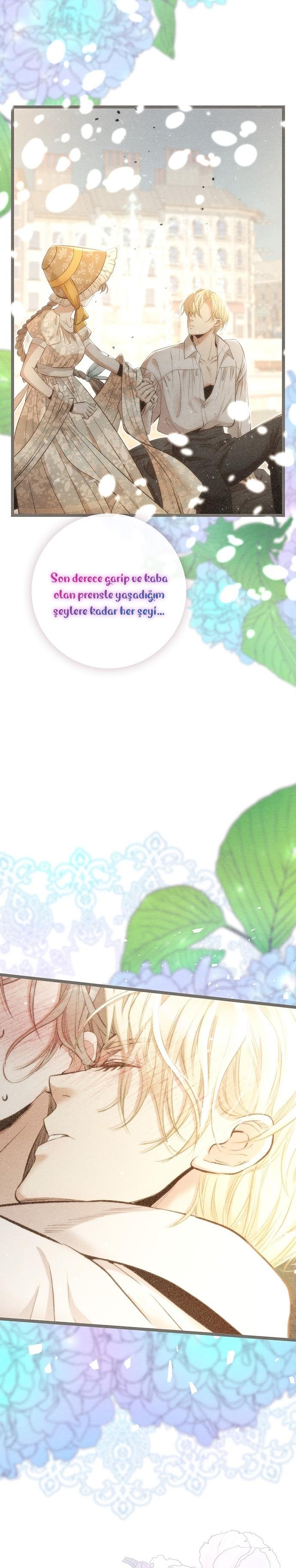 4-cm2xdfr0s0001tt82570od8ls