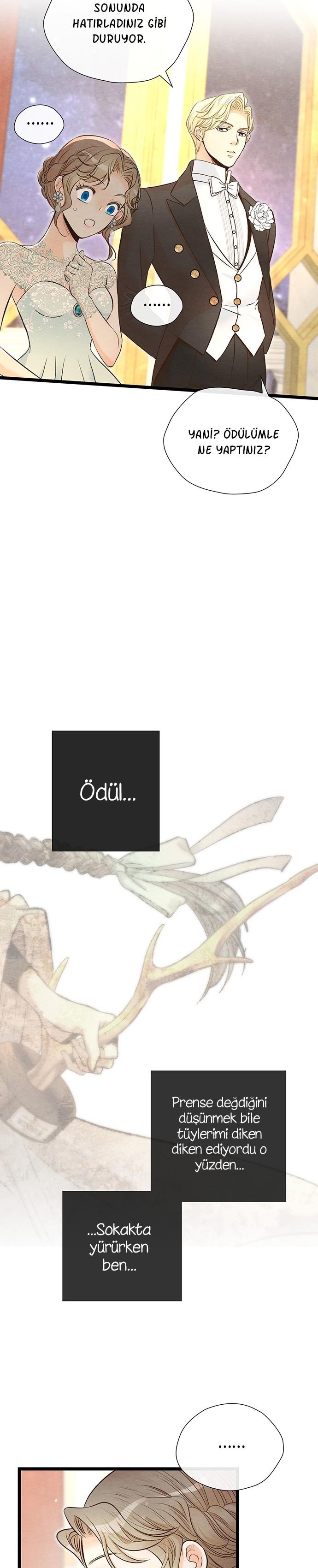 19-cm2xdfr0s0001tt82570od8ls