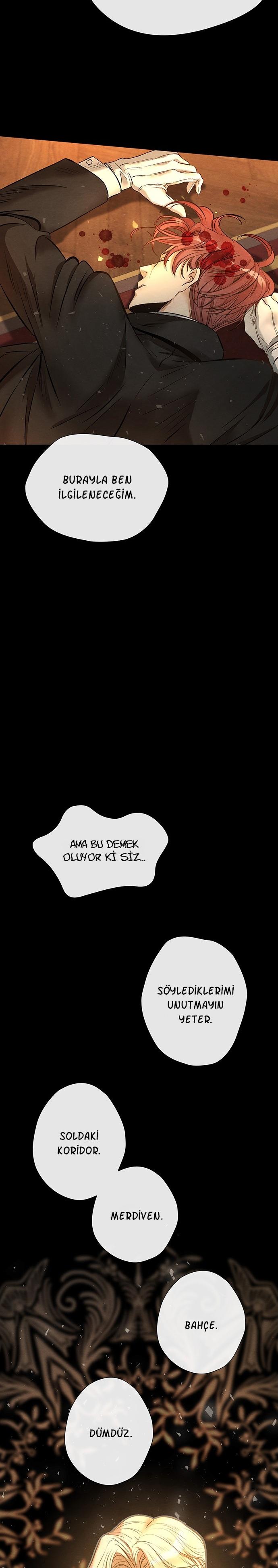 20-cm2xdfr0s0001tt82570od8ls