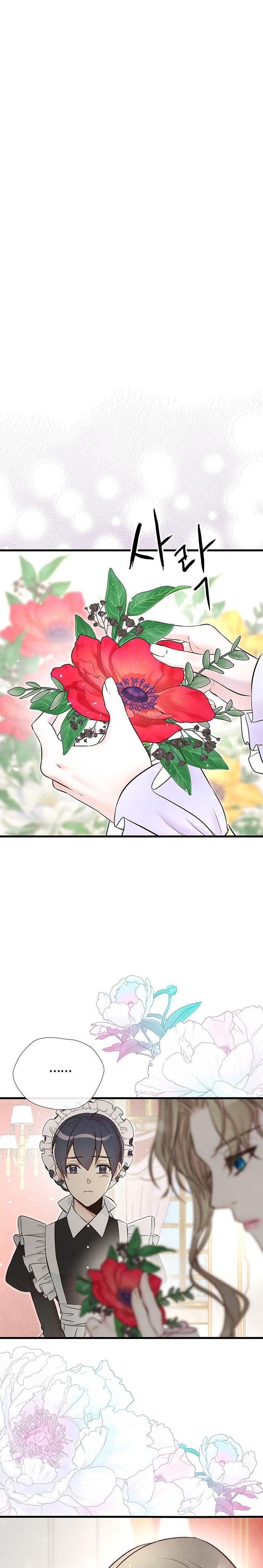 17-cm2xdfr0s0001tt82570od8ls