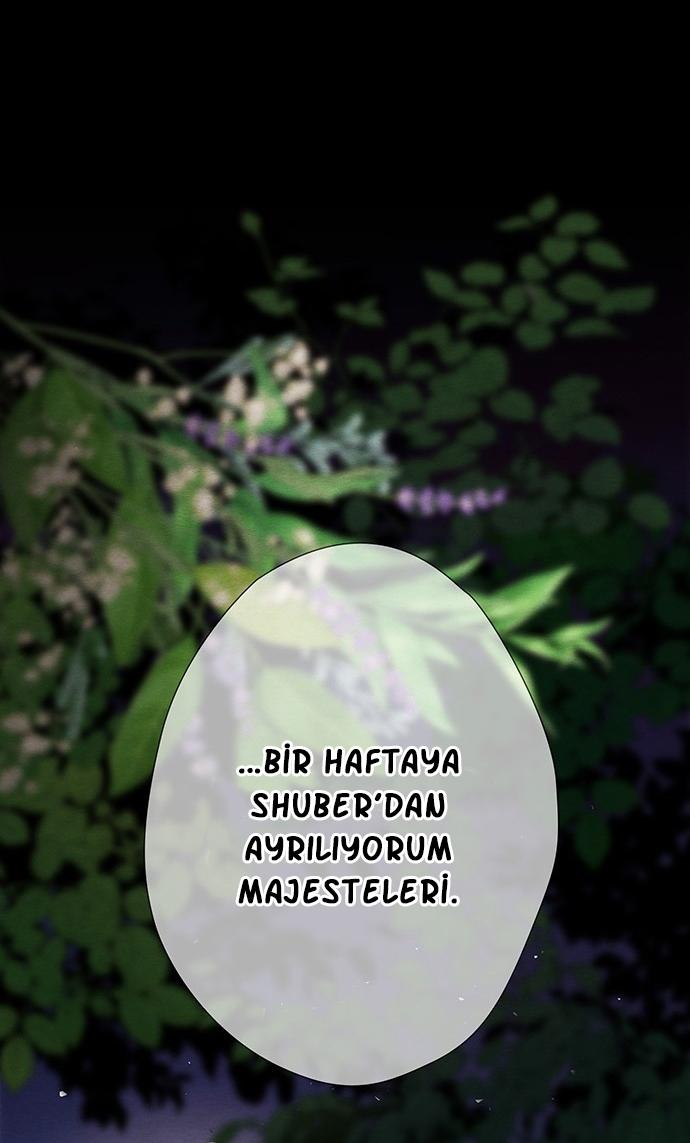31-cm2xdfr0s0001tt82570od8ls