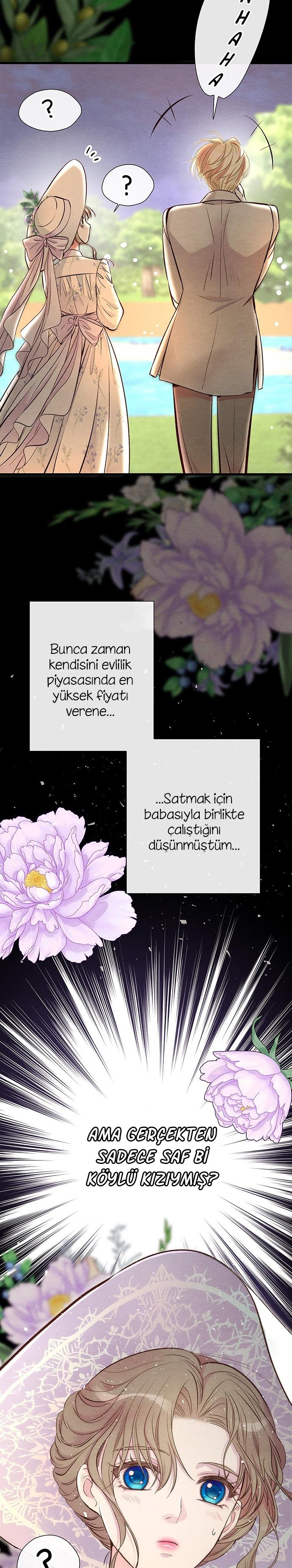 7-cm2xdfr0s0001tt82570od8ls