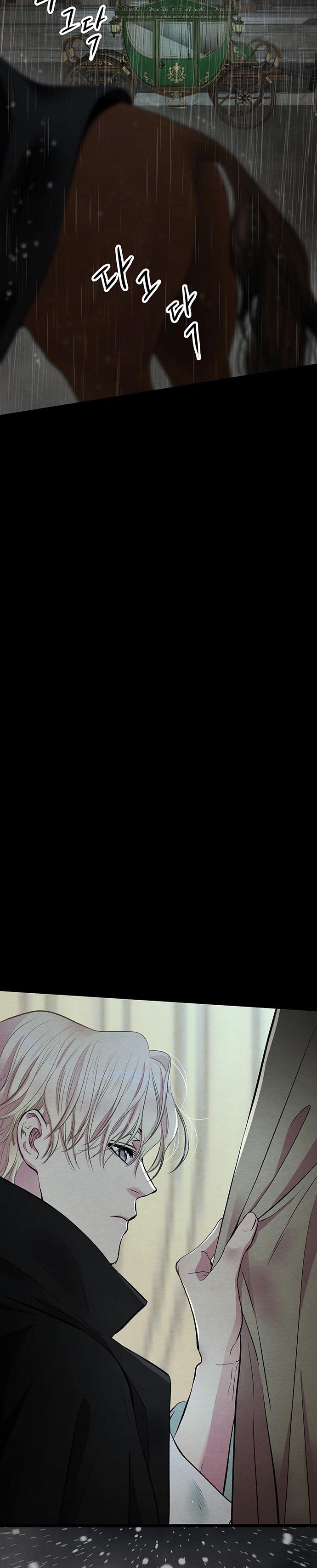 31-cm2xdfr0s0001tt82570od8ls