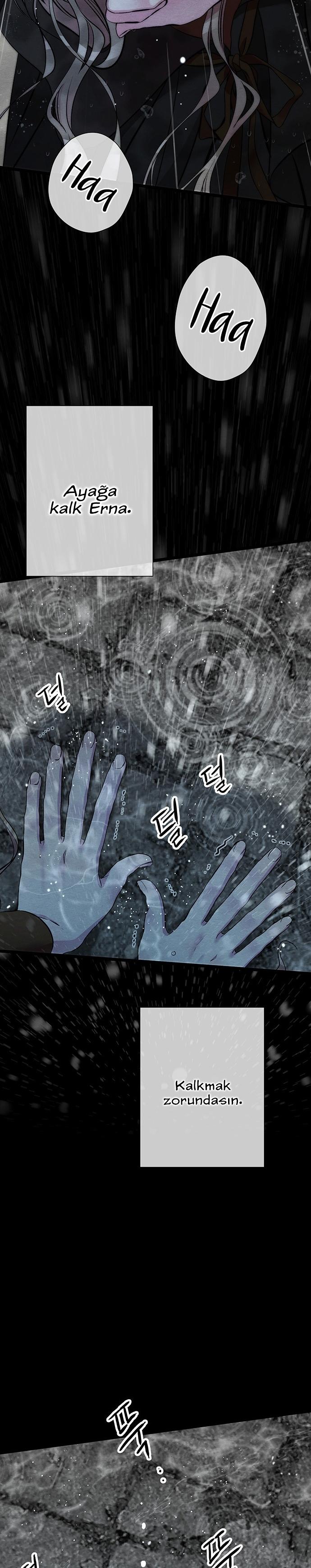 7-cm2xdfr0s0001tt82570od8ls