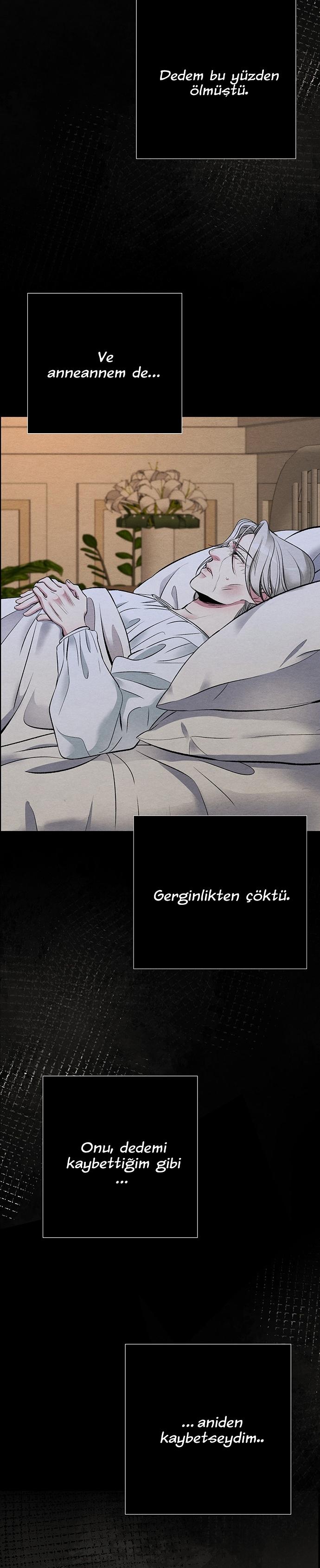 27-cm2xdfr0s0001tt82570od8ls