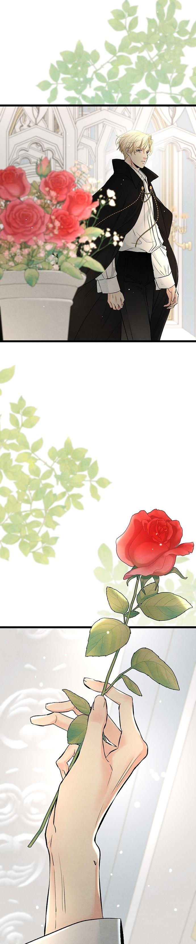 48-cm2xdfr0s0001tt82570od8ls