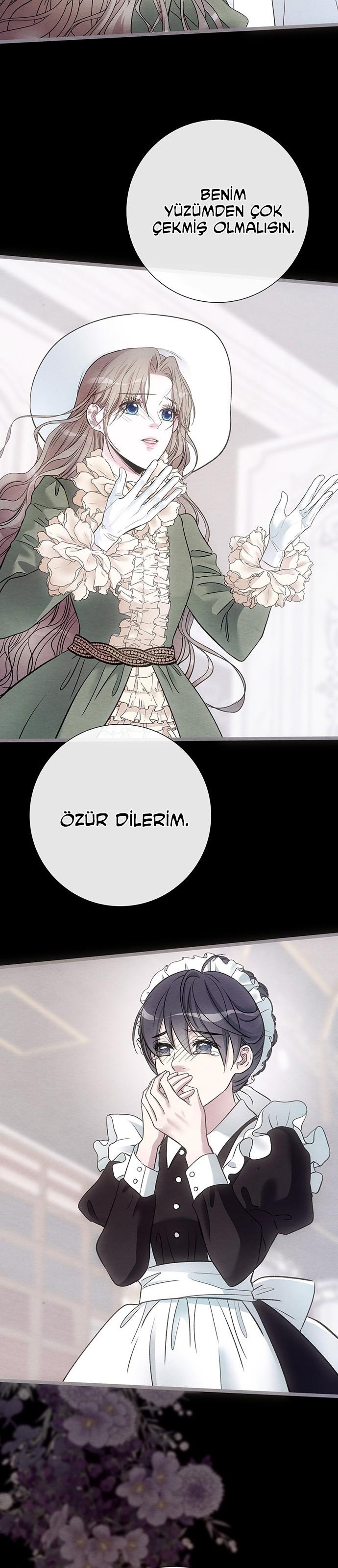 31-cm2xdfr0s0001tt82570od8ls