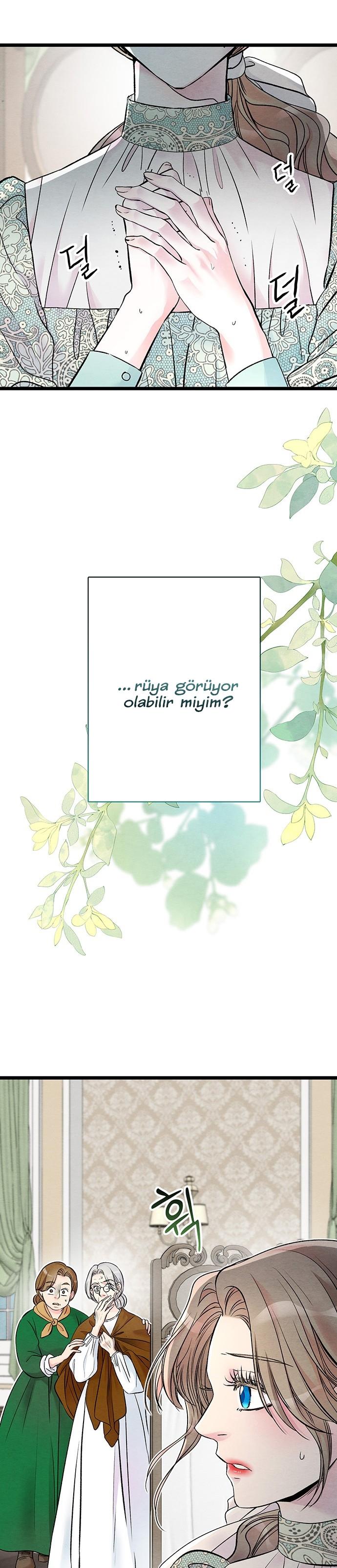 4-cm2xdfr0s0001tt82570od8ls