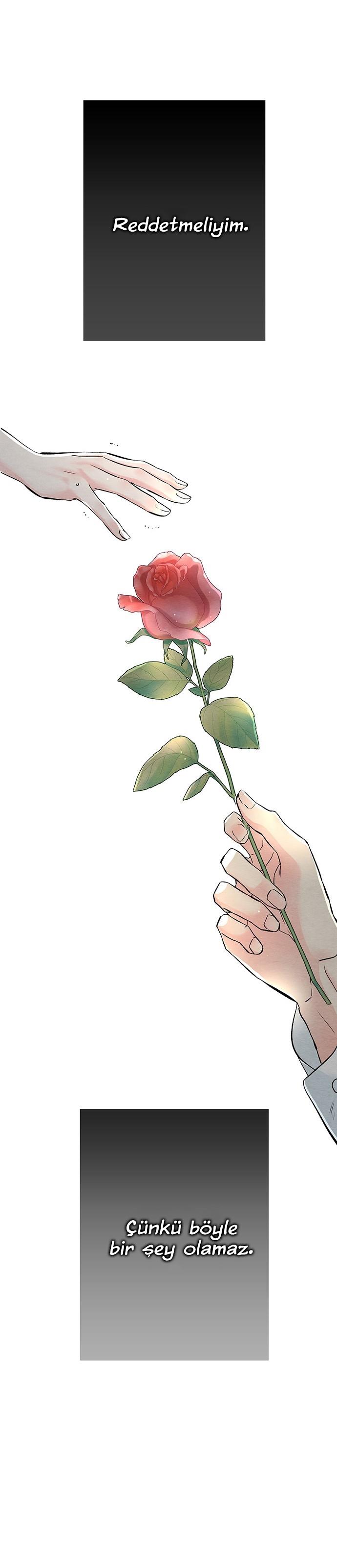 9-cm2xdfr0s0001tt82570od8ls