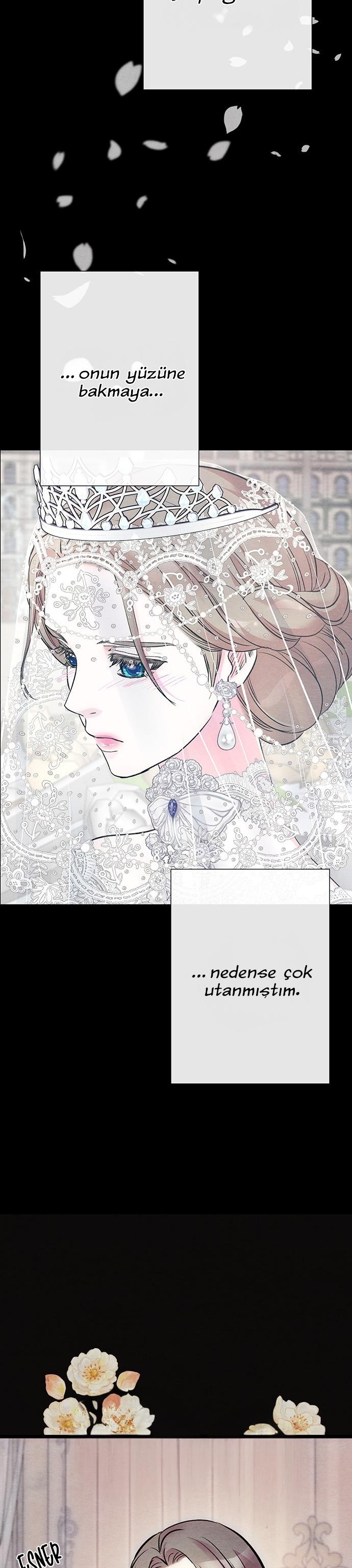 44-cm2xdfr0s0001tt82570od8ls