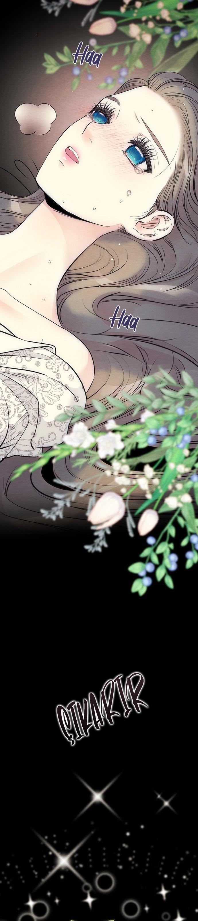 16-cm2xdfr0s0001tt82570od8ls
