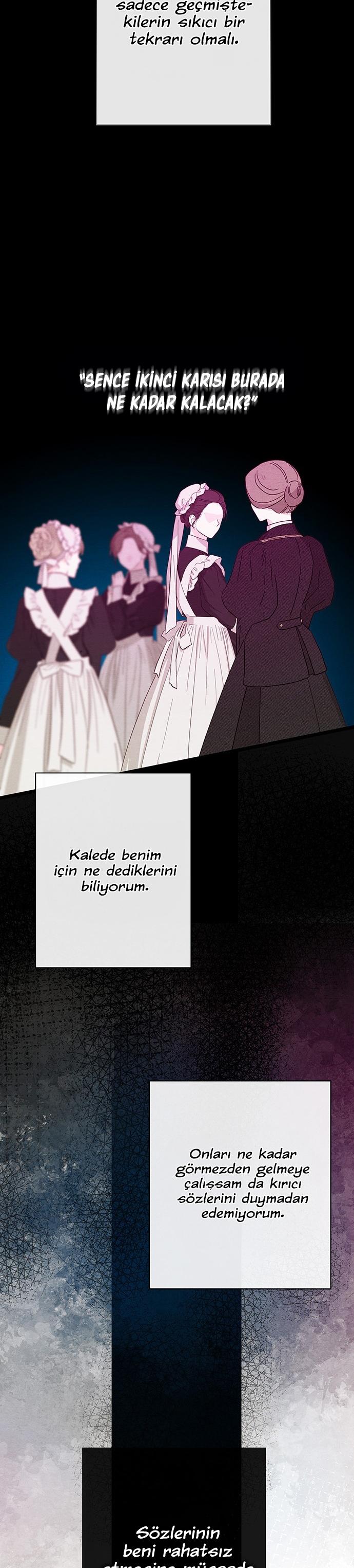 23-cm2xdfr0s0001tt82570od8ls