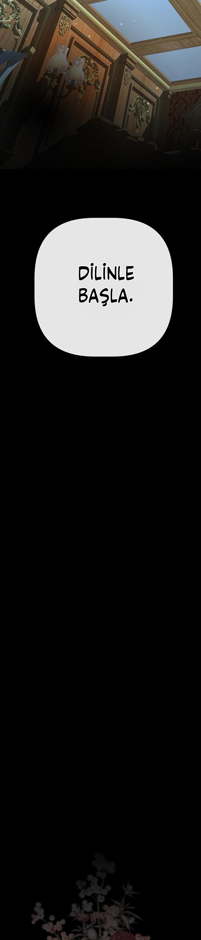 30-cm2xdfr0s0001tt82570od8ls