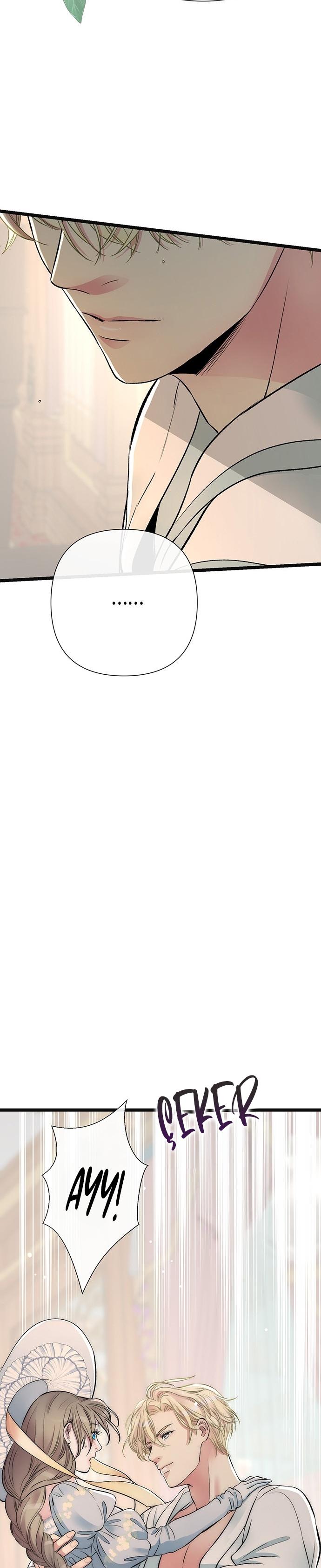 25-cm2xdfr0s0001tt82570od8ls