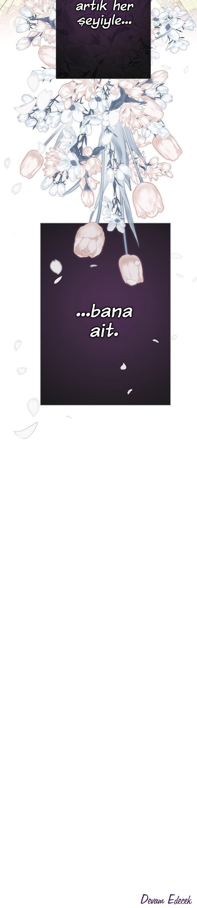 43-cm2xdfr0s0001tt82570od8ls