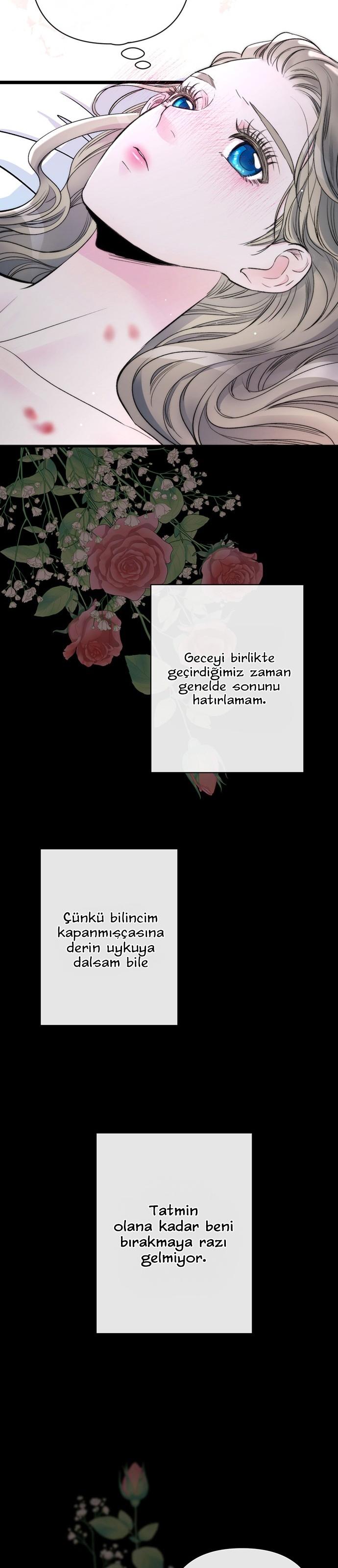 5-cm2xdfr0s0001tt82570od8ls