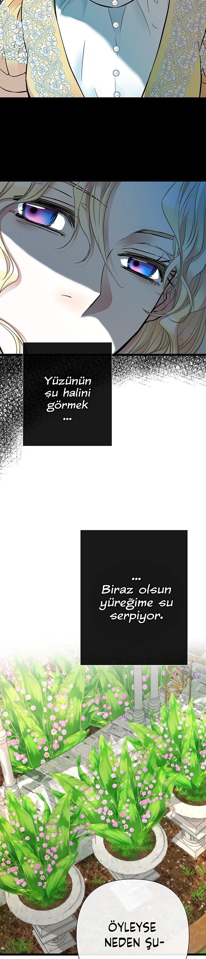 24-cm2xdfr0s0001tt82570od8ls