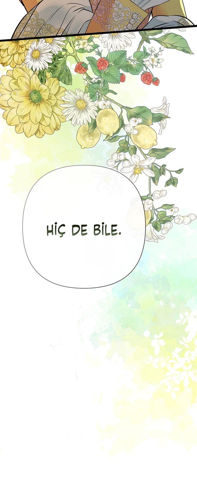 38-cm2xdfr0s0001tt82570od8ls