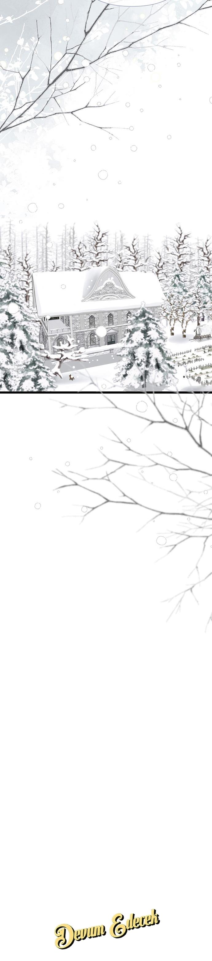 36-cm2xdfr0s0001tt82570od8ls