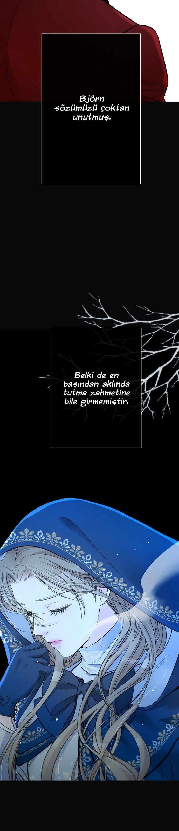 23-cm2xdfr0s0001tt82570od8ls
