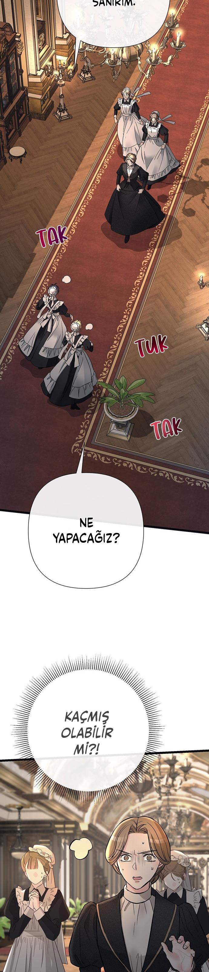 28-cm2xdfr0s0001tt82570od8ls