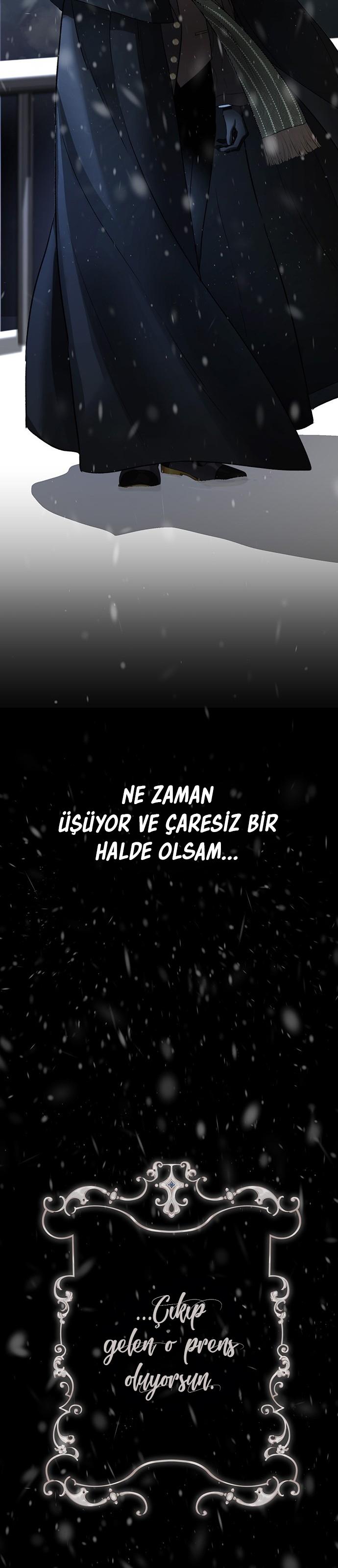 17-cm2xdfr0s0001tt82570od8ls