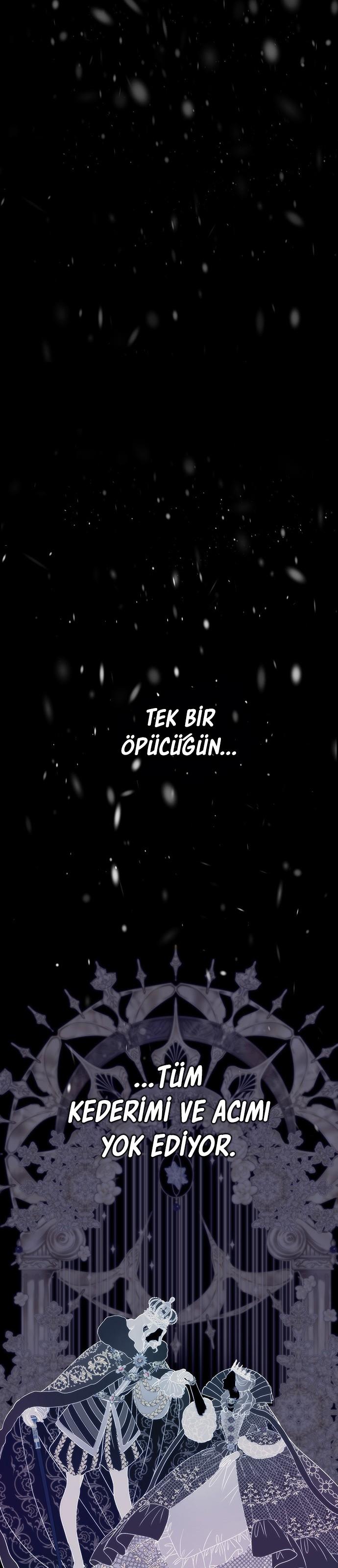 18-cm2xdfr0s0001tt82570od8ls