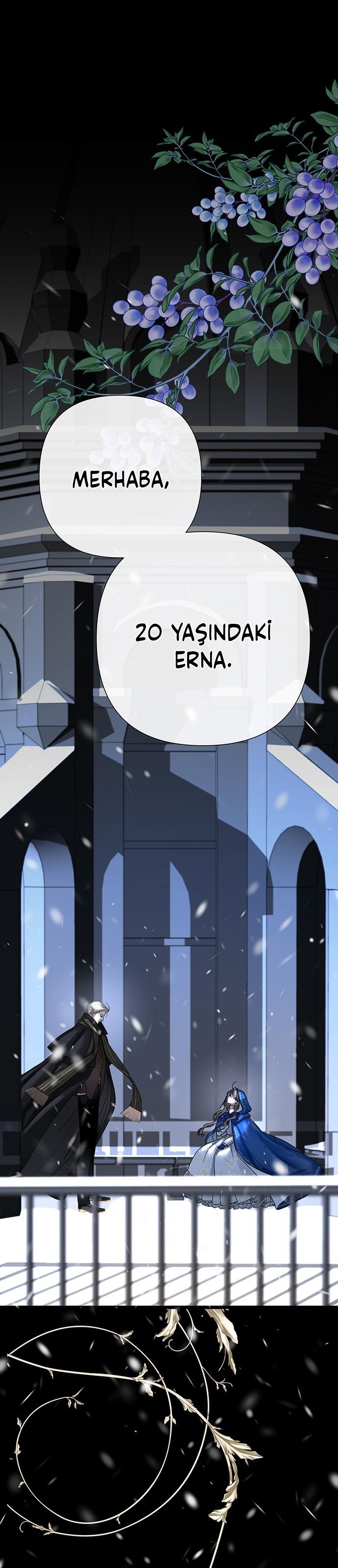 2-cm2xdfr0s0001tt82570od8ls