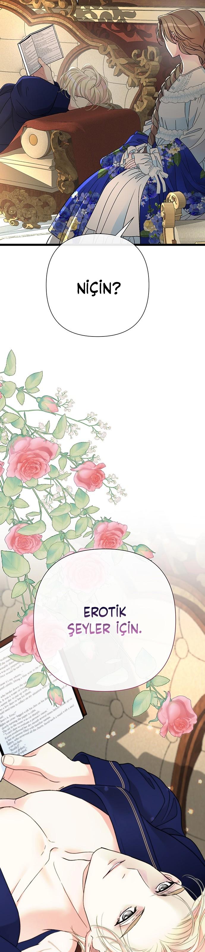 10-cm2xdfr0s0001tt82570od8ls