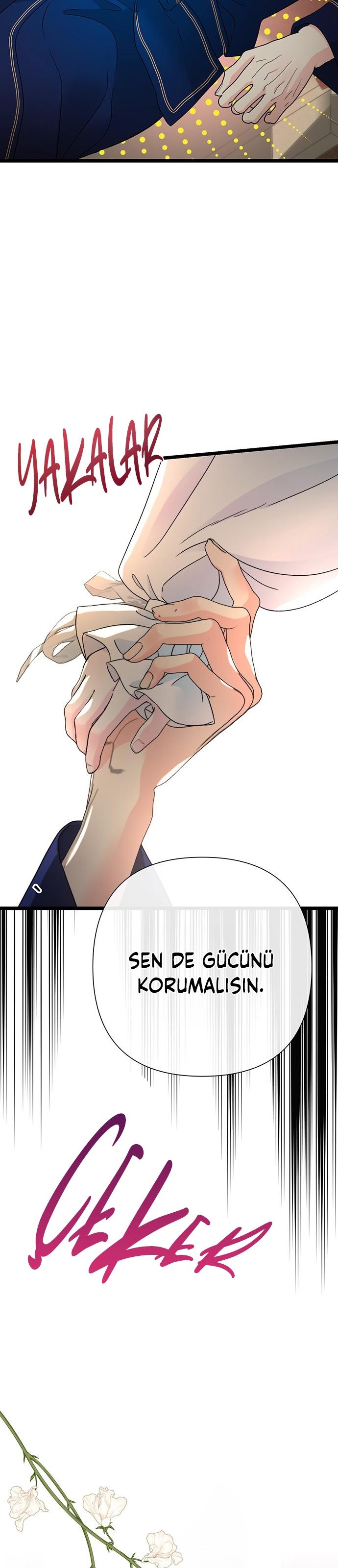 18-cm2xdfr0s0001tt82570od8ls