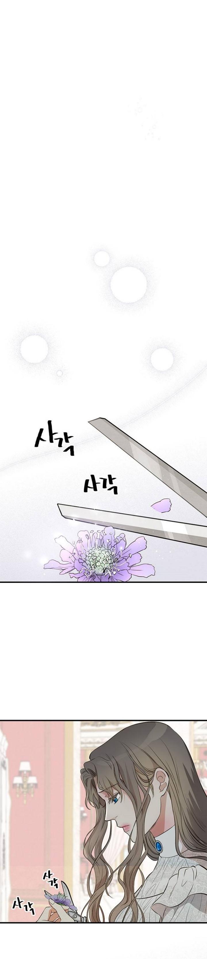 25-cm2xdfr0s0001tt82570od8ls