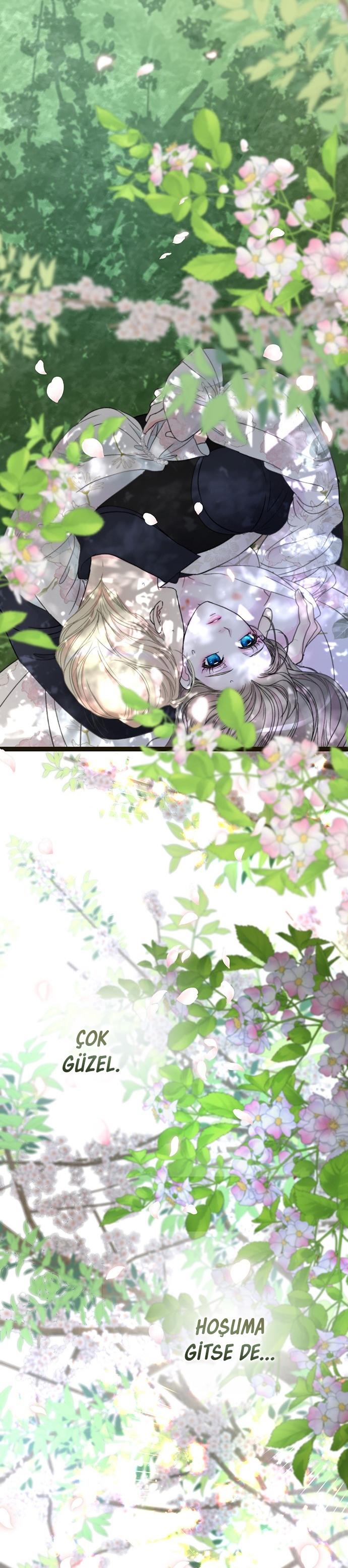 33-cm2xdfr0s0001tt82570od8ls
